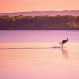 ¡Caminando sobre el agua!