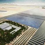 Cultivando en el desierto: el proyecto Bosque del Sáhara