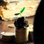 Algunas ideas para pasarte a la otra economía