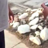 Pareja gay graba a homófobo agresivo que los amenaza por besarse