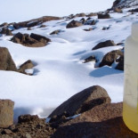 Por qué no se puede orinar en la nieve de la Antártida