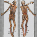La momia de Ötzi, el Hombre de Hielo, presenta 61 tatuajes