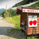 En Noruega lo hacen pero, ¿sería posible hacer esto en tu país?