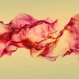 ¿Los demás ven los colores como yo?