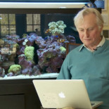 Richard Dawkins lee cartas de odio de sus "fans" (Eng)