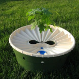 Invento holandés puede hacer crecer un bosque en el desierto