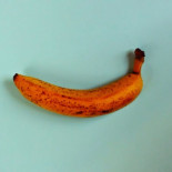 Bananas, sardinas y tiburones (Doc-Sub)