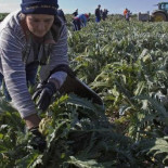 Treinta euros a la semana, 10 horas al día: esclavos de la tierra en la España del s. XXI