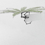 Drones parasíticos que consumen carbono para convertirlo en energía [eng]