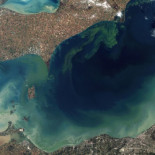 La humanidad ha traspasado 4 de 9 límites del planeta