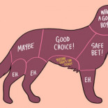 Cómo acariciar a los animales [ENG]