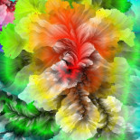 Imágenes con todos los colores