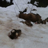 Cuando un escenario de ensueño se convierte en pesadilla