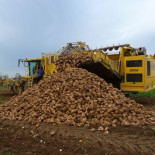 Conoce tus elementos: el estroncio