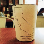 Tira el vaso al suelo, crecerán plantas (y con suerte hasta un árbol)