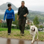 Un ertzaina dispara al sentirse atacado por un pitbull del lehendakari