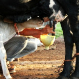 Descubrimientos clave para la evolución de la cocina, la alimentación y la gastronomía