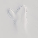 Una enorme placa de hielo colapsa en Groenlandia por el drenaje de un lago subglacial (ING)