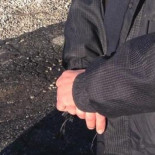 Consiguen atrapar gracias a una fotografia al defecador compulsivo de la ciudad de Akron