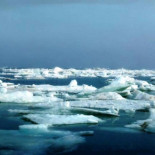 Cuando el Ártico se derrite