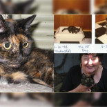 El gato más viejo del planeta cumple 27 años