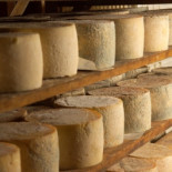 A tumba abierta (por Juan Echanove)