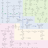 Un origen químico de la vida elegantemente simple