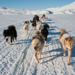 Los esquimales se perdieron con el GPS