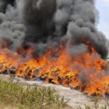 Policía de Indonesia quema 3.3 toneladas de marihuana y pone pedo a toda la ciudad