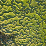 Arte y ciencia en “La Isla Mínima”