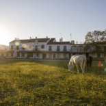 8 cosas que ver y hacer en la provincia de Huelva