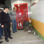 Rescatado un gato que pasó 5 años emparedado y que sobrevivió gracias a un anciano