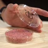 La primera hamburguesa de laboratorio ya es tan barata que podrías comprarla