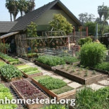 Como cultivar mas de 2700 kg de alimentos en 400 m2