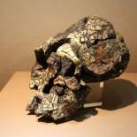 Hallan en Kenia herramientas homínidas de 3,3 millones de años