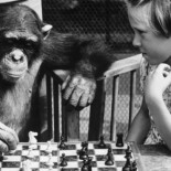 Las insospechadas desventajas de ser muy inteligente