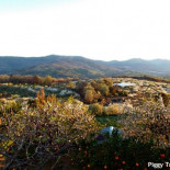 30 imágenes para enamorarse de Extremadura [ENG]