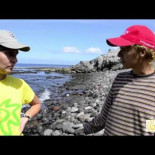 Playas de Mogán contaminadas: "Lo que no se ve, no se limpia"