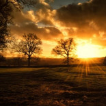 Exingeniero de la NASA declara la guerra a la deforestación con drones