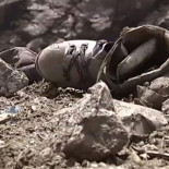 La tele francesa sobrevuela un pueblo de Nepal arrasado por el terremoto y se encuentra con guardias civiles (FR)