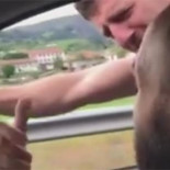 La Guardia Civil multa al 'Superman de Buelna' y al conductor que le grabó