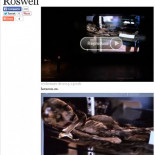 ‘La Razón’ y ‘El País’ se tragan el enésimo fraude sobre Roswell