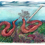 Pasen y vean lo más parecido a un parásito alienígena