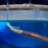 La NASA presenta un robot con forma de calamar que buscará vida en Europa