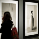 El fotógrafo Chema Madoz mira a la naturaleza en 'Las reglas de juego'