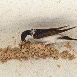 Aviones sin aeropuerto: una barbarie injustificable