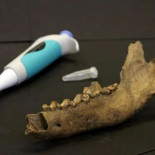 El idilio entre humanos y perros puede remontarse a más de 27.000 años