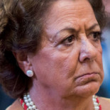 Logran ahuyentar al batracio que vivía en las dependencias del Ayuntamiento de Valencia