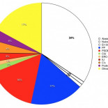 Elecciones 2015: alguien no se está enterando de nada… » Enrique Dans