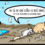 Gaviota desplumada (Viñeta)